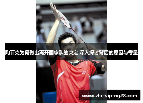 陶菲克为何做出离开国家队的决定 深入探讨背后的原因与考量