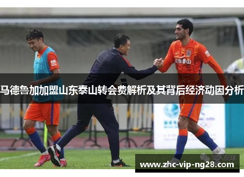 马德鲁加加盟山东泰山转会费解析及其背后经济动因分析